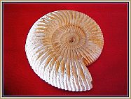 fo578